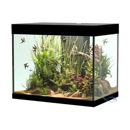 Askoll Opera 110 Bank Only