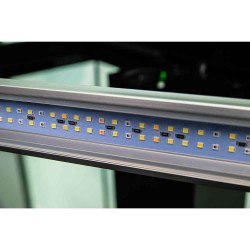 Askoll Opera 80 only bathtub