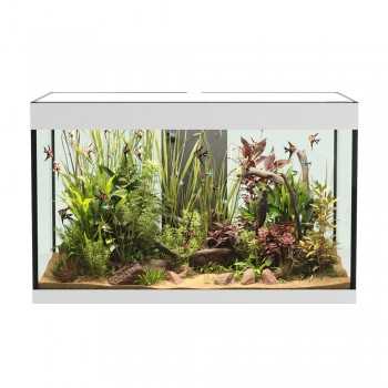 Askoll Opera 150 Bank Only