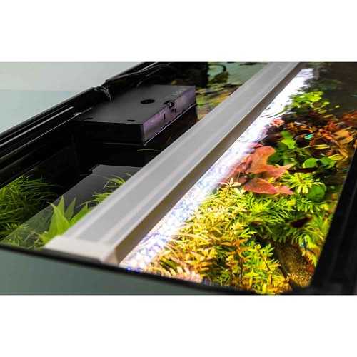 Askoll Opera 150 Bank Only