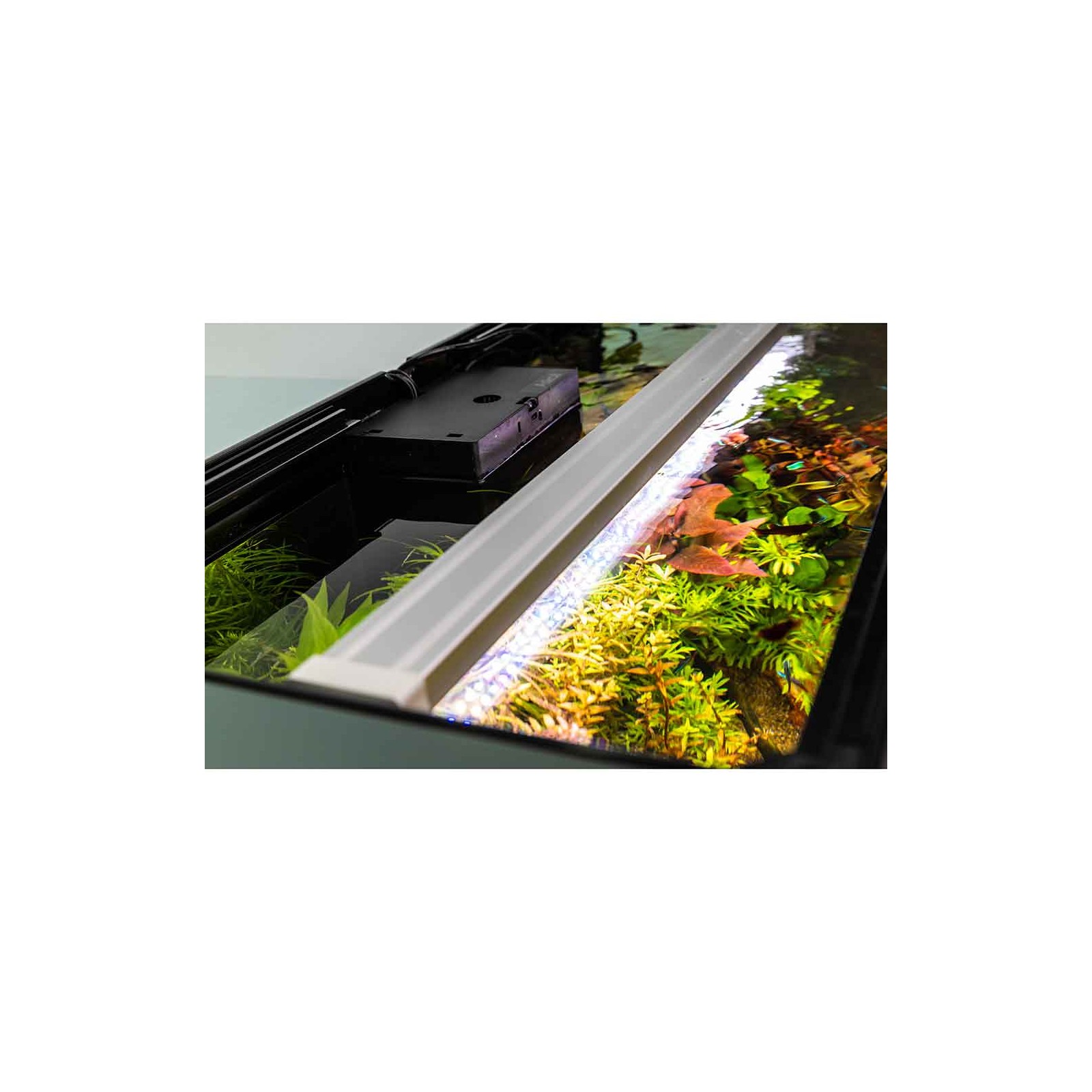 Askoll Opera 150 Acquario completo 150 litri Steel 80x40x50h cm