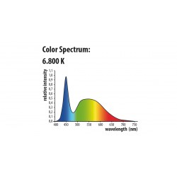 Newa LED fresh daylight