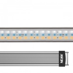 Newa LED Fresh Plant, LED range of high light efficiency- Newa