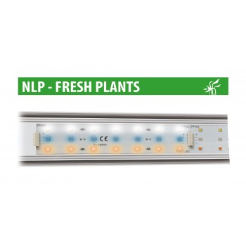 Newa LED Fresh Plant, LED range of high light efficiency-... 2