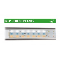 Newa LED Fresh Plant, gamma di led ad alta efficienza luminosa - Newa