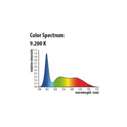 Newa LED fresh plant