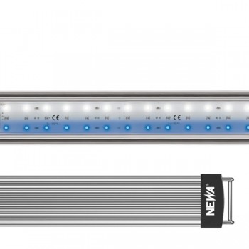 Newa LED marines hybrides, plage de LED haute efficacité...