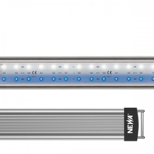 Newa LED marines hybrides, plage de LED haute...