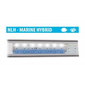 Newa HYBRID MARINE LEDs, high efficiency LED range - Newa 2