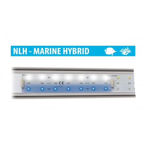 Newa LED marines hybrides, plage de LED haute...