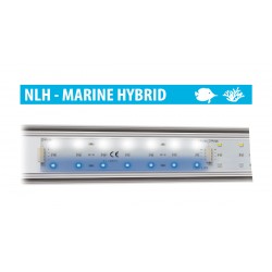 Newa HYBRID MARINE LEDs, high efficiency LED range - Newa