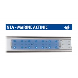 Newa LED marine actinic
