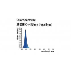 Newa Actinic marin LED - Newa