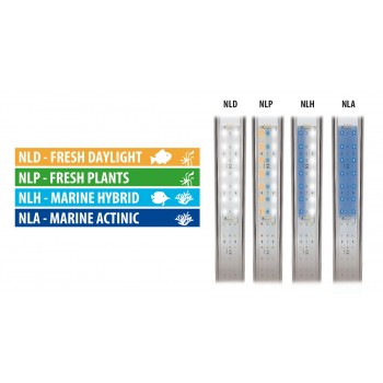 Alimentation pour Newa LED - Newa 2