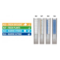 Alimentatore per Newa LED - Newa