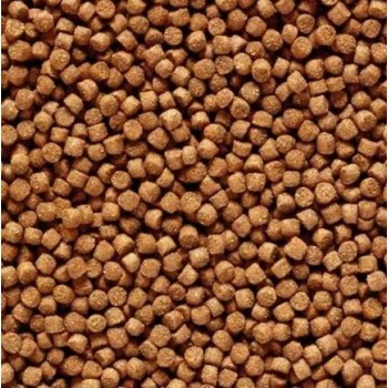 Gold Mini Hikari Gold Mini Feed 2