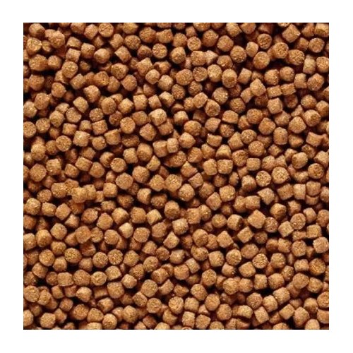 Mangime cichlid Gold mini hikari