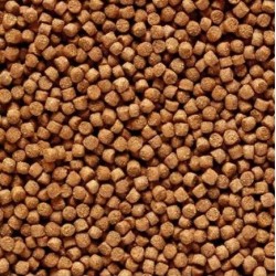 Gold Mini Hikari Gold Mini Feed