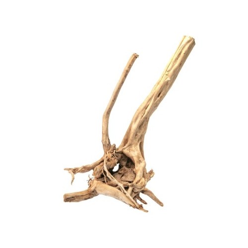Racine de bois naturelle Zen Bois Stump d'AQPET