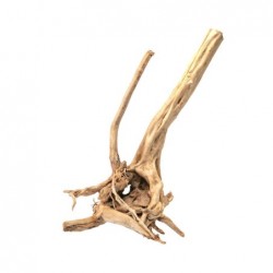 Racine de bois naturelle Zen Bois Stump d'AQPET