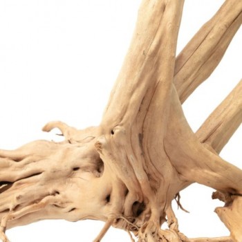 Racine de bois naturelle Zen Bois Stump d'AQPET 2