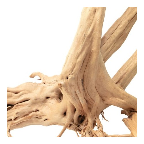 Racine de bois naturelle Zen Bois Stump d'AQPET