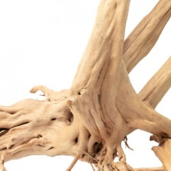 Natural wood root Zen Wood Stump AQPET