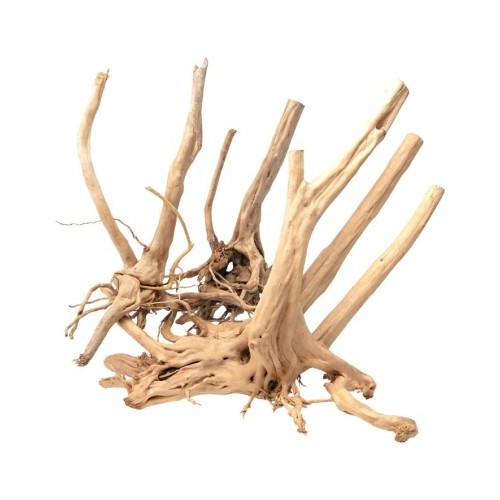 Radius natural wood Zen Wood Stump Aqpet