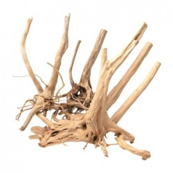 Radius natural wood Zen Wood Stump Aqpet