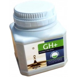 GH+ Prodibio 200 gr