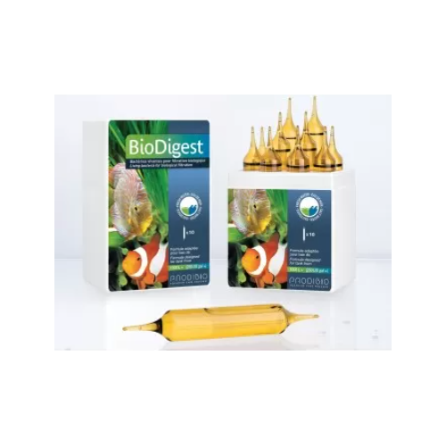 BioDigest pro10 10 ampoules Prodibio