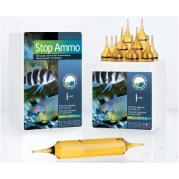 Arrêtez Ammo Pro10 10 ampoules Prodibio