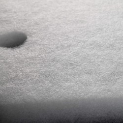 Thin white filter sponge for Experience 150/250 / 250T Eheim