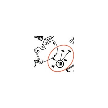 Viti a molla (5 pezzi) Tutti i modelli FNT/CST 2