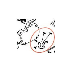 Spring Screws (5 pieces) All FNT/CST models