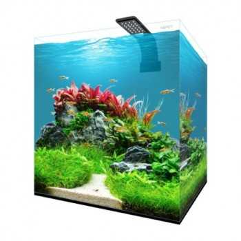 Fresh Box Aquarium 30 Kubic extra-clear with set-up AQPET