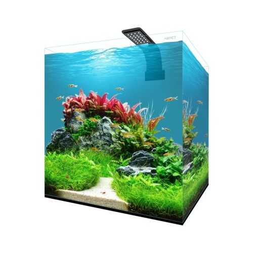 Fresh Box Aquarium 30 Kubic extra-clear with...