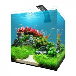Fresh Box Aquarium 30 Kubic extra-clear with set-up AQPET
