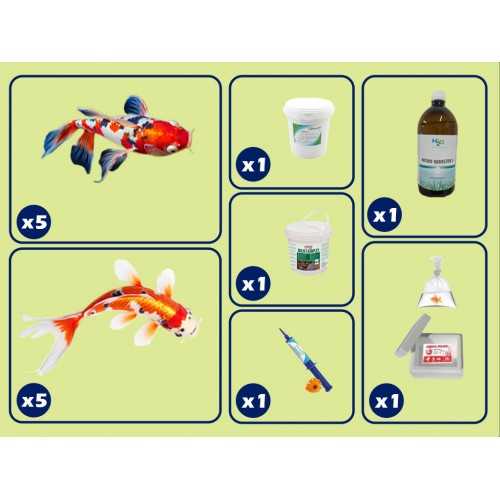 large pond kit with Koi carp