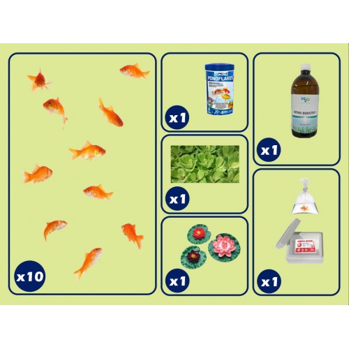 kit de base pour étang avec poisson rouge