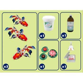 base kit for pond with KOI carp