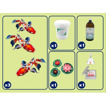 kit de base pour étang avec carpe koi
