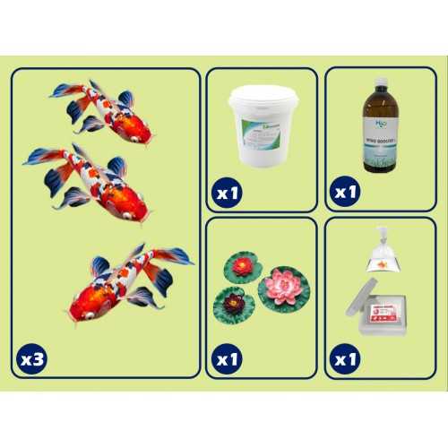 base kit for pond with KOI carp