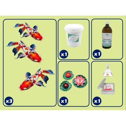 kit de base pour étang avec carpe koi