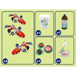 base kit for pond with KOI carp