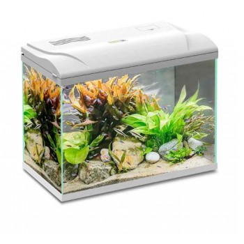 Acquario Magis 50 Litri 49x31x38h cm Blu Bios