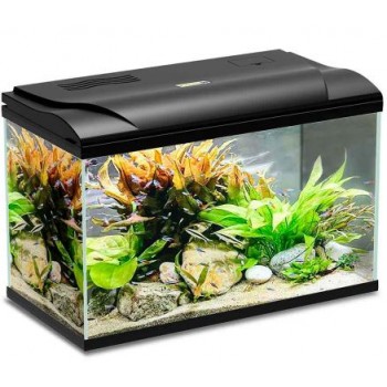 Aquarium Magis 50 litres 49x31x38H cm Blu Bios 2