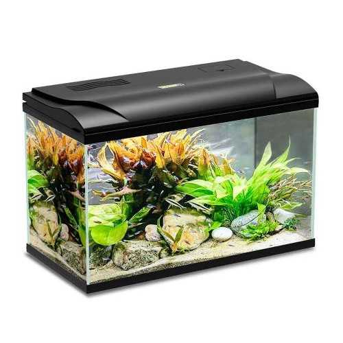Magis Aquarium 30