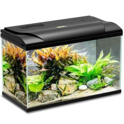 Acquario MAGIS 60