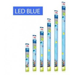 LED Blue, replacement lamp - Juwel